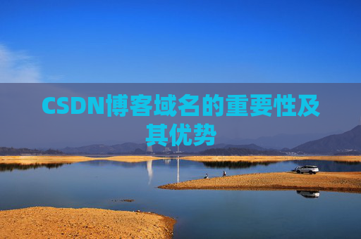 CSDN博客域名的重要性及其优势